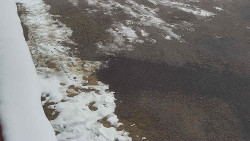 Nástup na běžecké tratě