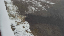 Nástup na běžecké tratě