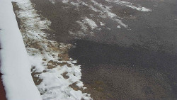 Nástup na běžecké tratě