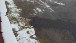 Nástup na běžecké tratě