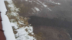 Nástup na běžecké tratě