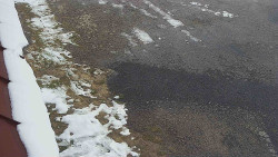 Nástup na běžecké tratě