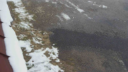 Nástup na běžecké tratě