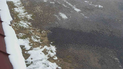 Nástup na běžecké tratě