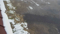 Nástup na běžecké tratě