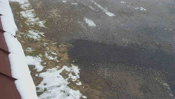 Nástup na běžecké tratě