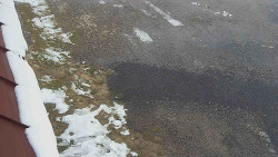 Nástup na běžecké tratě