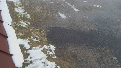 Nástup na běžecké tratě