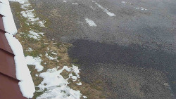 Nástup na běžecké tratě