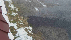 Nástup na běžecké tratě