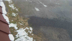 Nástup na běžecké tratě