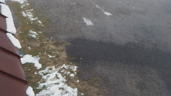 Nástup na běžecké tratě