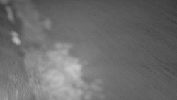 Nástup na běžecké tratě