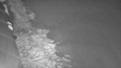 Nástup na běžecké tratě