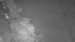 Nástup na běžecké tratě