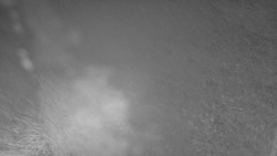 Nástup na běžecké tratě