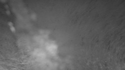 Nástup na běžecké tratě