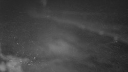 Nástup na běžecké tratě