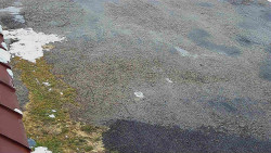 Nástup na běžecké tratě