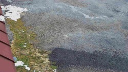 Nástup na běžecké tratě