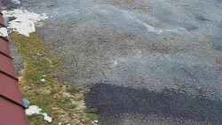 Nástup na běžecké tratě