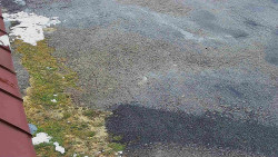 Nástup na běžecké tratě