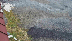 Nástup na běžecké tratě