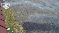 Nástup na běžecké tratě