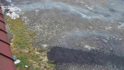 Nástup na běžecké tratě