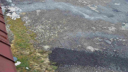 Nástup na běžecké tratě