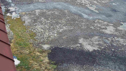 Nástup na běžecké tratě