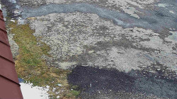 Nástup na běžecké tratě