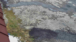 Nástup na běžecké tratě