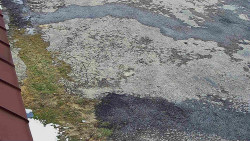 Nástup na běžecké tratě