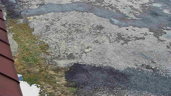 Nástup na běžecké tratě