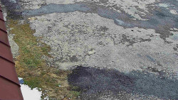 Nástup na běžecké tratě