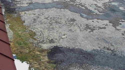 Nástup na běžecké tratě