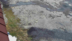 Nástup na běžecké tratě