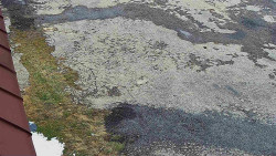 Nástup na běžecké tratě