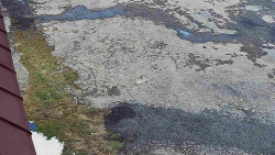 Nástup na běžecké tratě