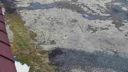 Nástup na běžecké tratě