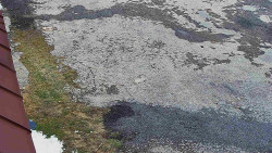 Nástup na běžecké tratě