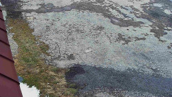 Nástup na běžecké tratě