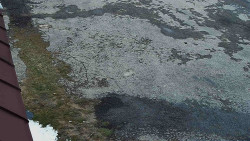 Nástup na běžecké tratě