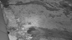 Nástup na běžecké tratě