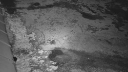 Nástup na běžecké tratě