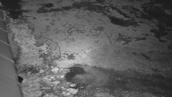 Nástup na běžecké tratě