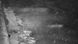 Nástup na běžecké tratě