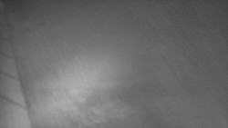 Nástup na běžecké tratě