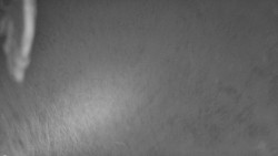 Nástup na běžecké tratě